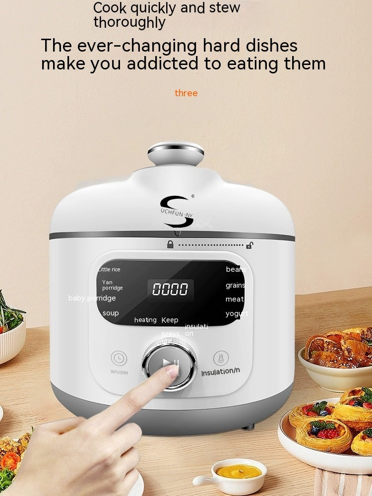 110V Electric Pressure Cooker – Small