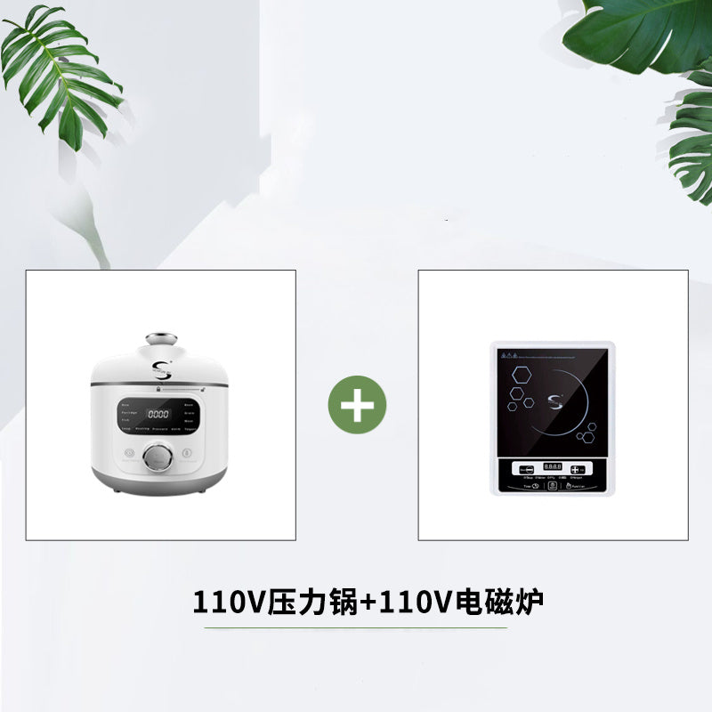 110V Electric Pressure Cooker – Small