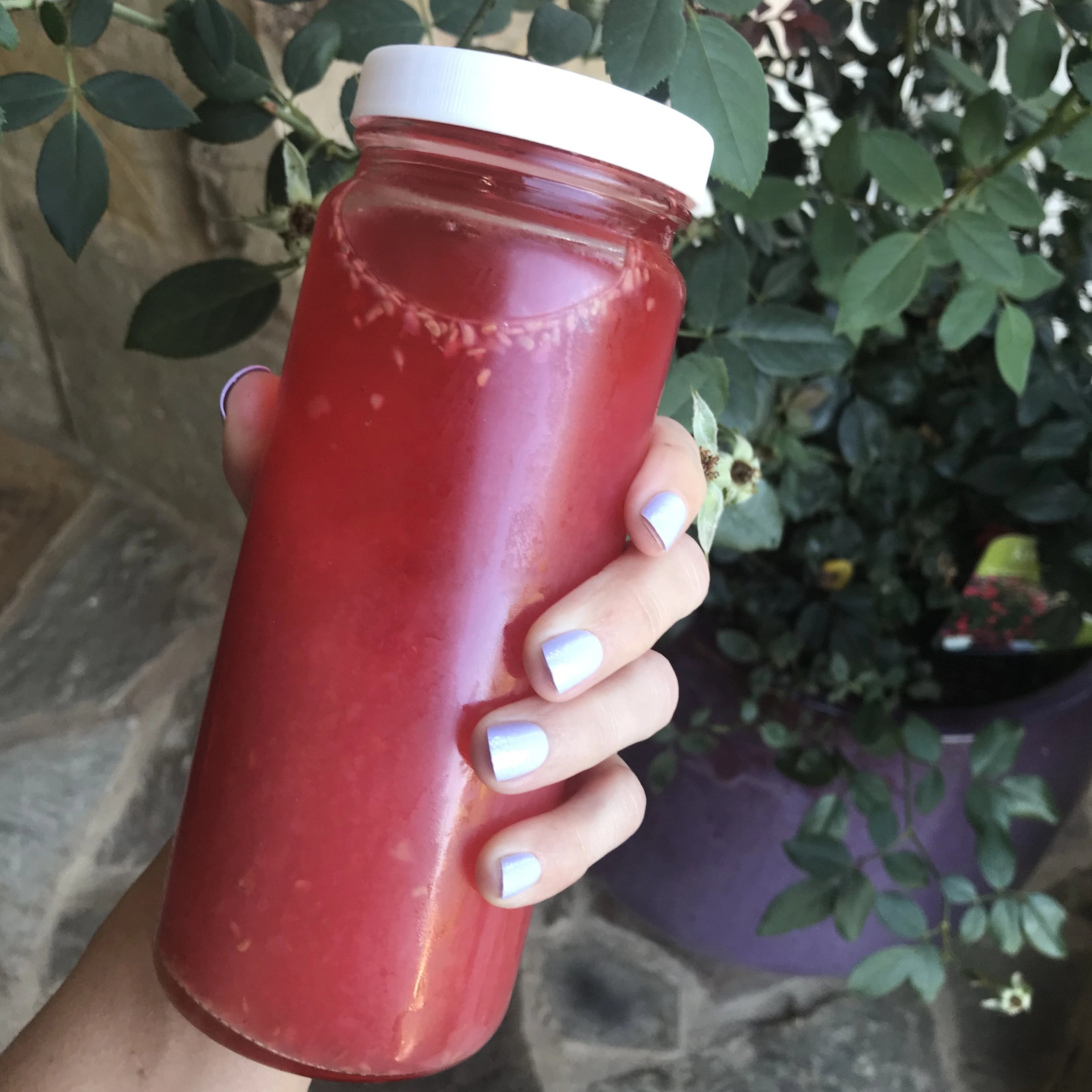 Wide Mouth 16oz Glass Bottles w/ Lids & Silicone Liner